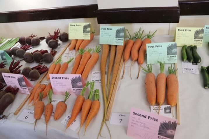 Produce laid out on table