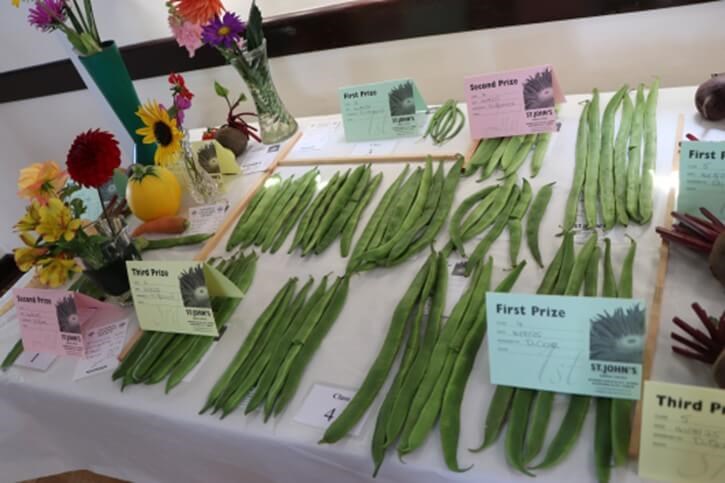 Produce laid out on table