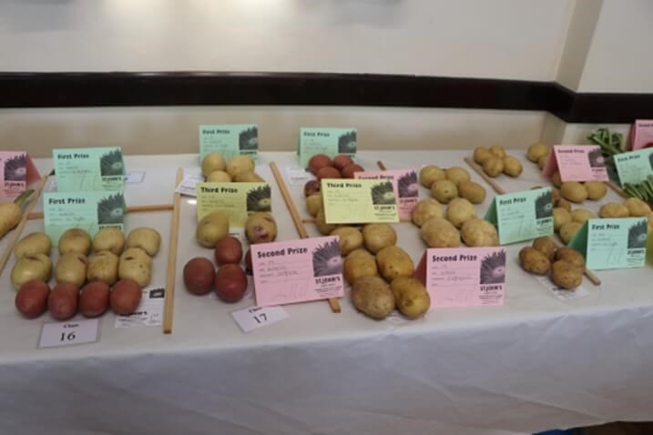 Produce laid out on table