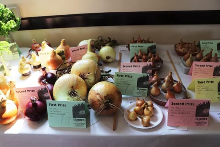 Produce laid out on table