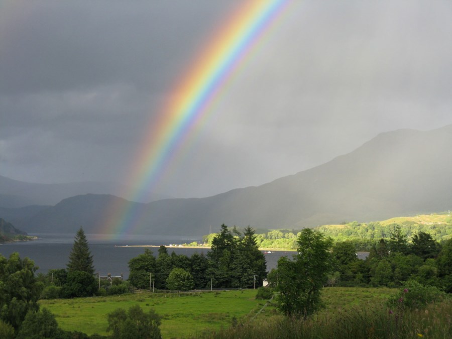 Brolas rainbow