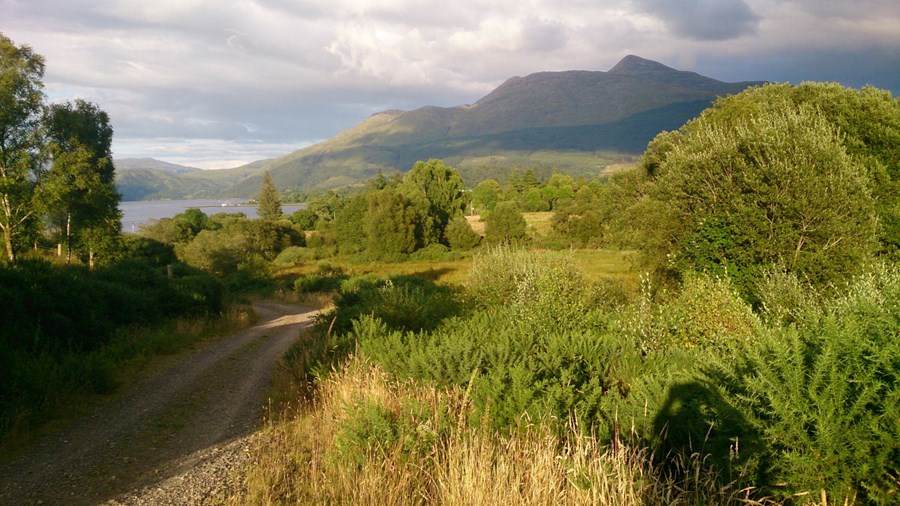 Brolas walk down to Loch Etive