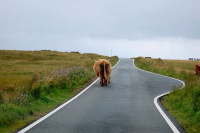 Single Track Roads