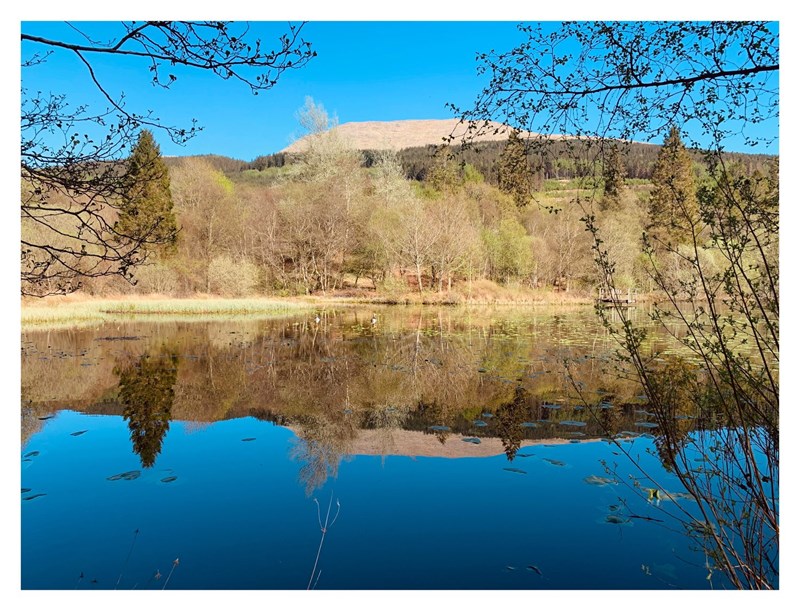 fishing pond at Sitheag