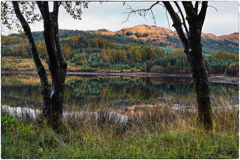 Loch on one of the walks at Sutherlands Grove
