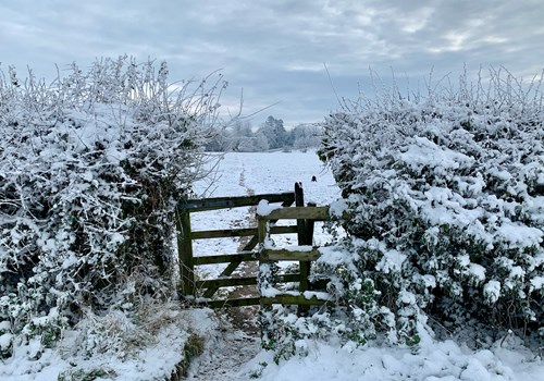 Cadeby Calendars & Christmas cards