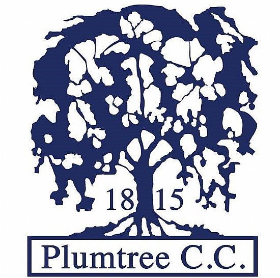 Plumtree Cricket Club logo