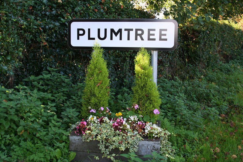Welcome to Plumtree