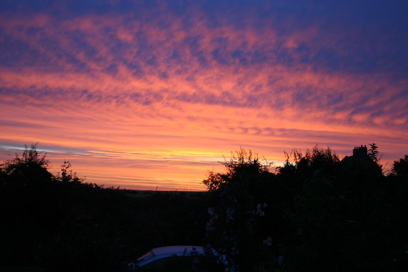 Sunset over the fields