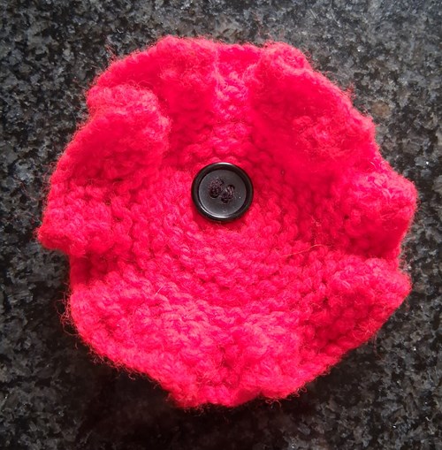 We Need Your Help For Our Remembrance Day Display