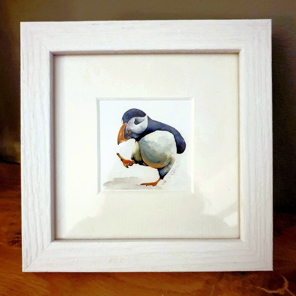 Framed Pondering Puffin in 5x5