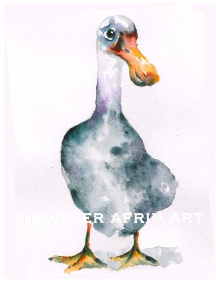 A Duck