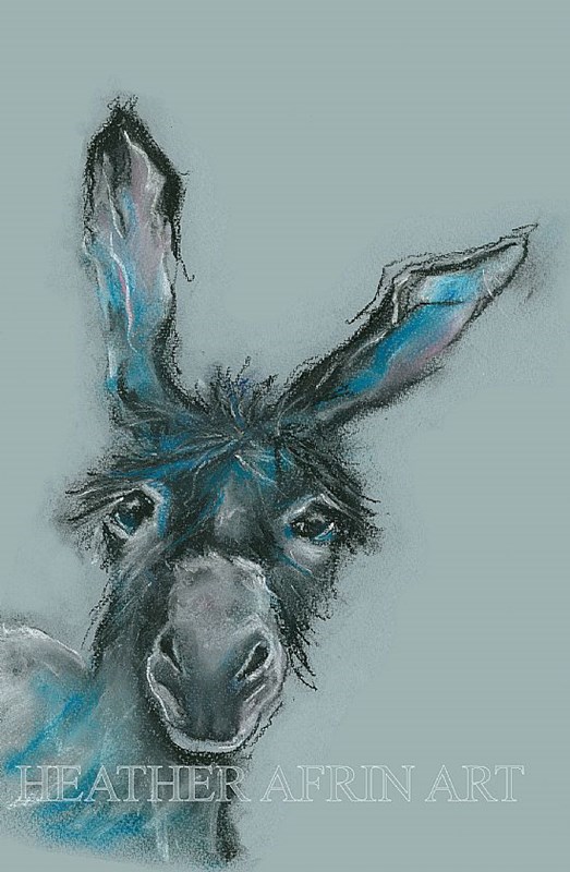 SOLD - Wonky Donkey
