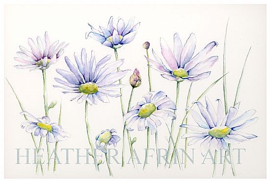 Daisies in a row