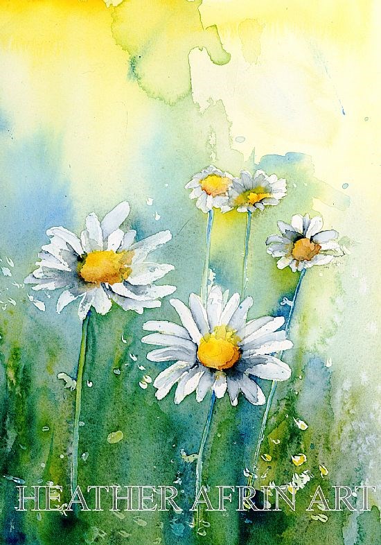 Spring Daisies