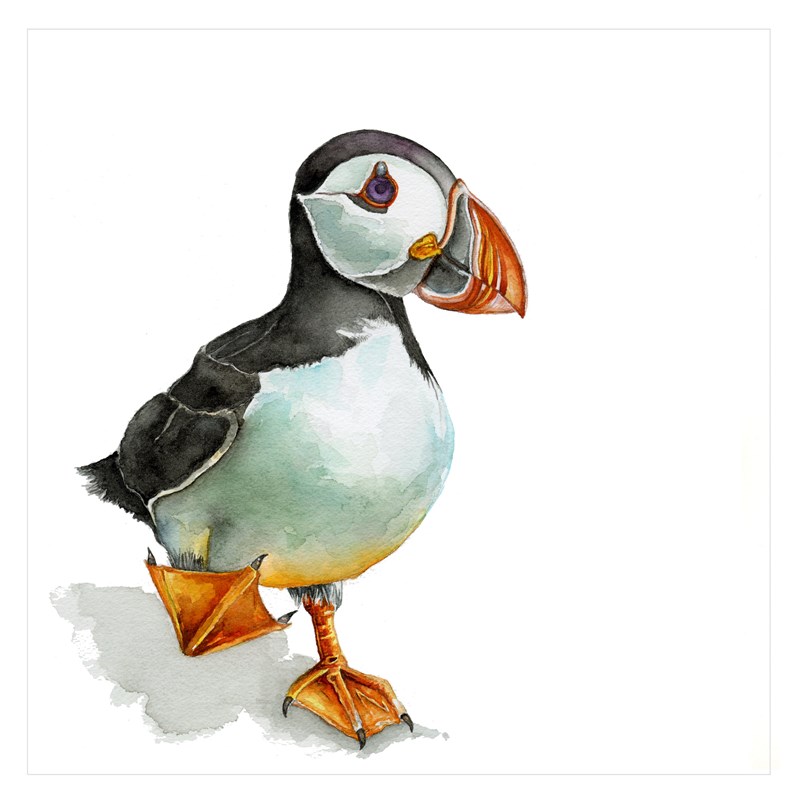 Perky Puffin