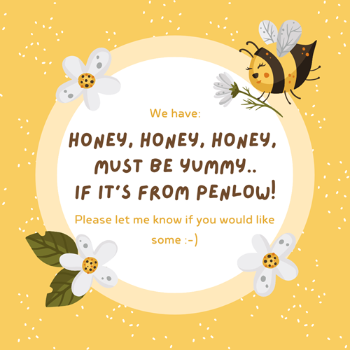 Penlow honey is now available!