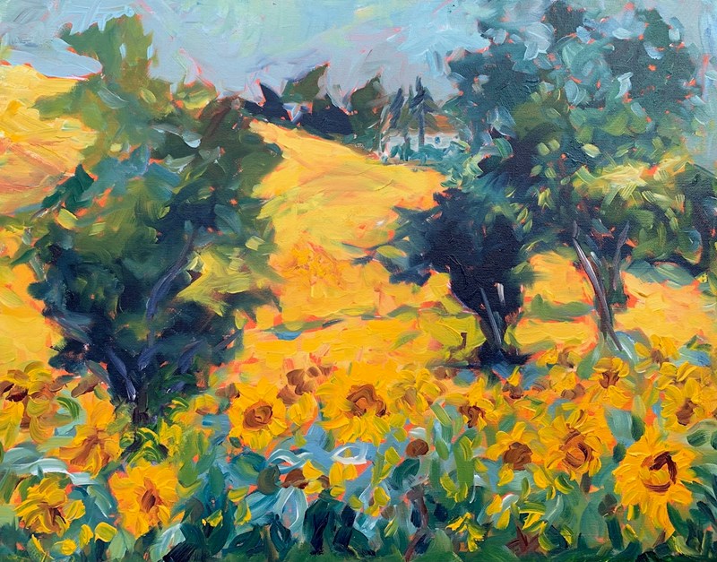 Les Tournesols 1, 65x55cm £ 375, see it at WASPS Inverness Sept 2025