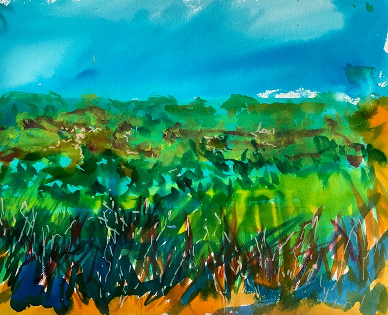 A Summer Landscape (watercolour) 63x46cm £250, available