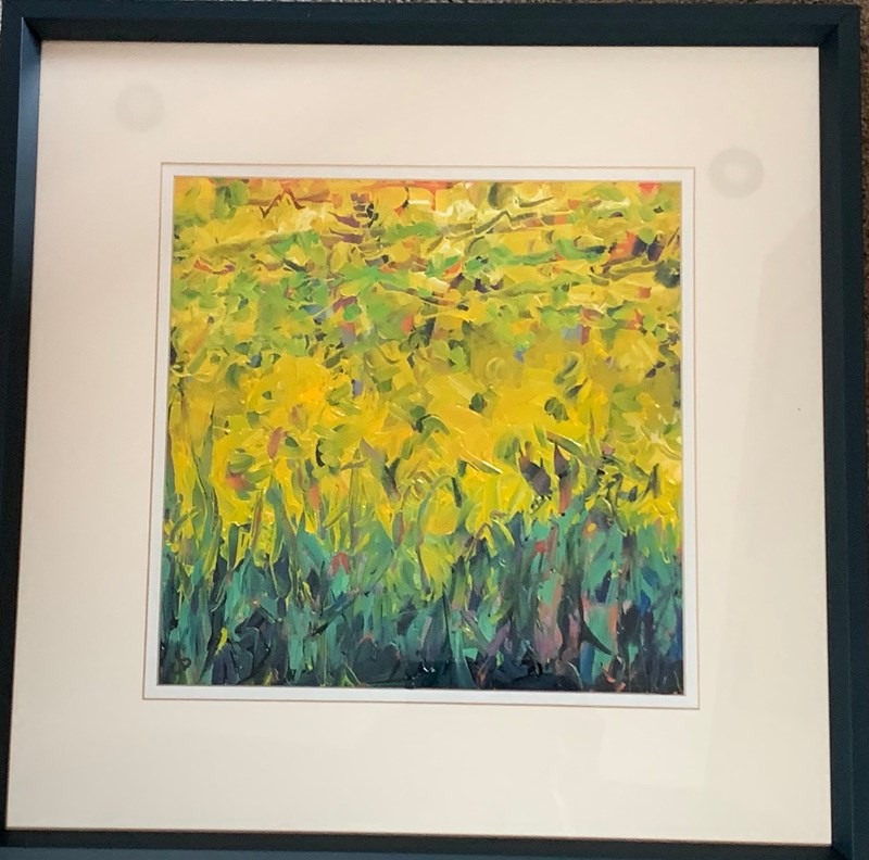 Field of Sunshine 45x45c, £225 exhibited at the Old Bakery,Carrbridge