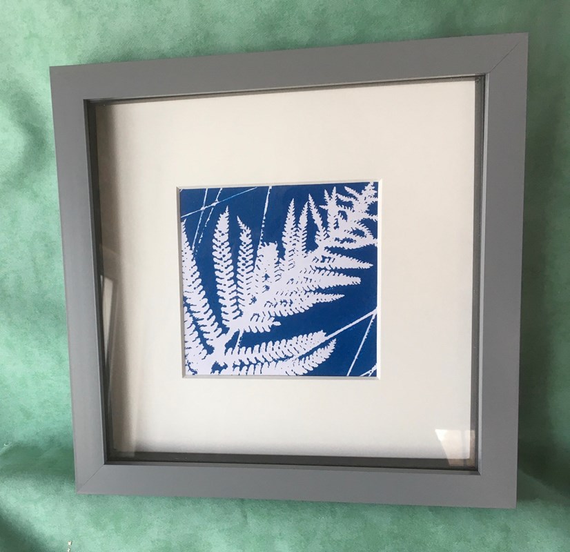 Bracken 23x23cm, framed original print £20 