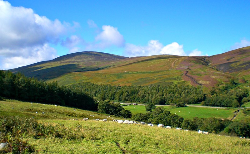 Introduction to hill walking in Northumberland (1 day course)