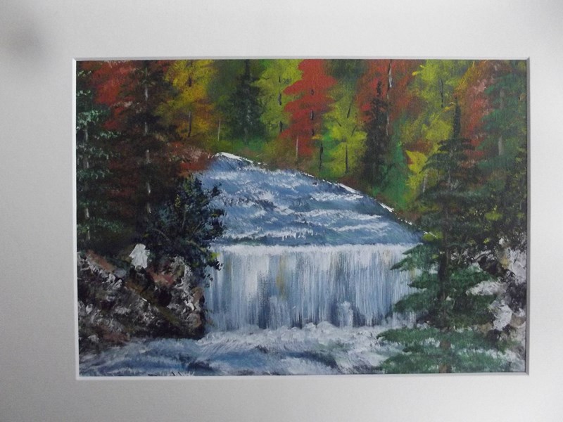 Forest Waterfall