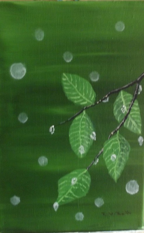 Raindrops