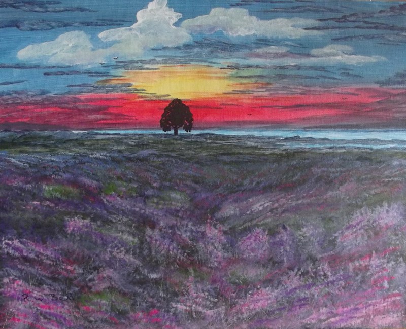 Sunset and Heather