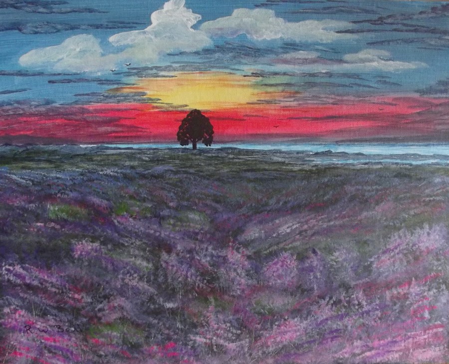 Sunset and Heather
