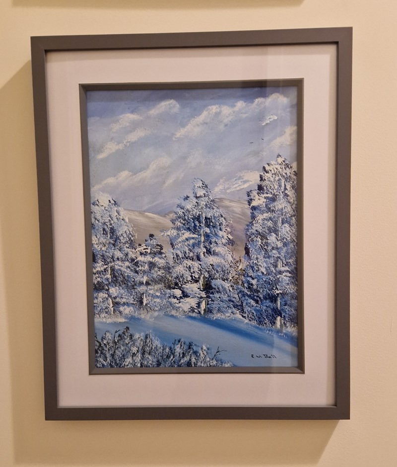 Winter Forest