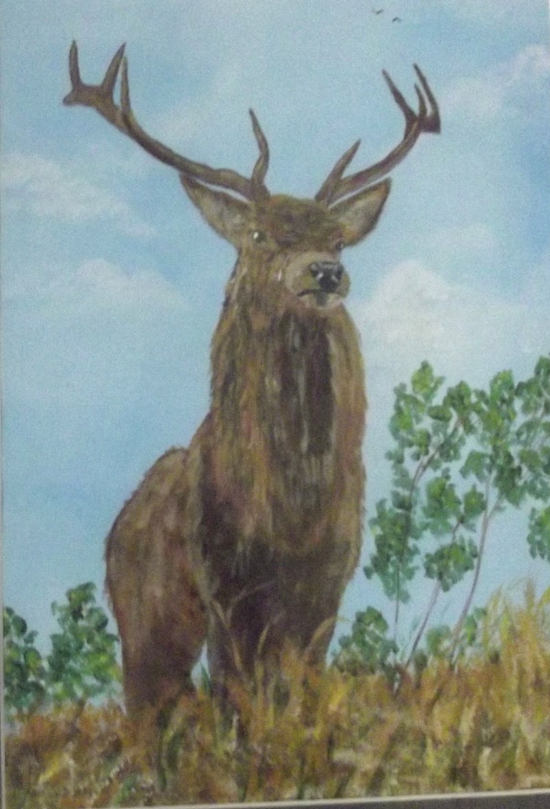 Stag