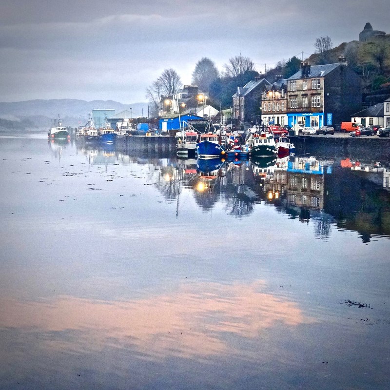 The Fish Quay and Inner Harbour