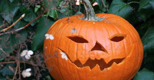 Information and Advice on Halloween Waste