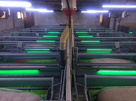 LED Lighting Solutions