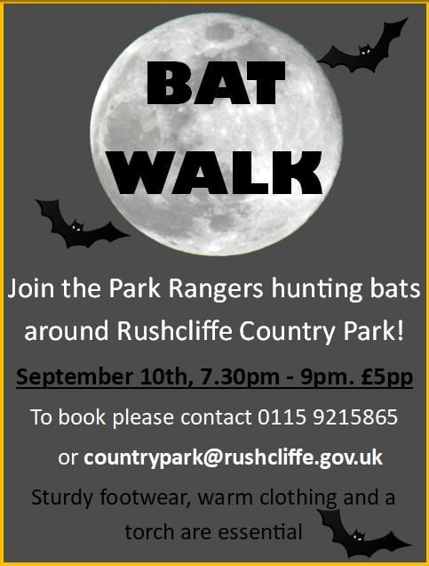 Bat walk poster