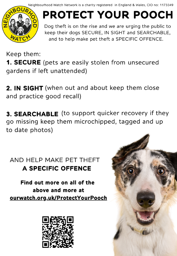 Protect your pooch flyer