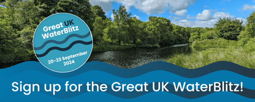 Water Quality Blitz