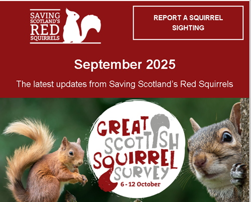 Great Scottish Squirrel Survey