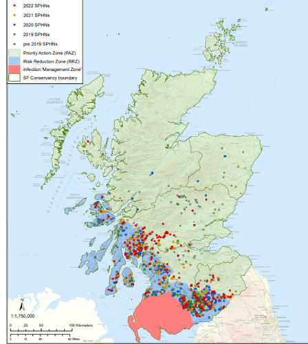 Felling of Diseased Larch Trees