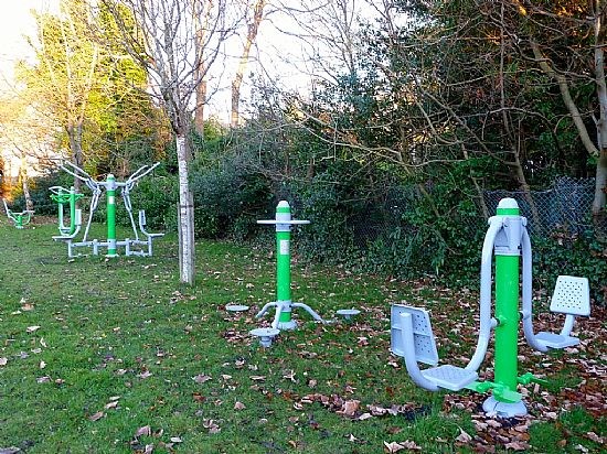 Leg Press & Body Twister