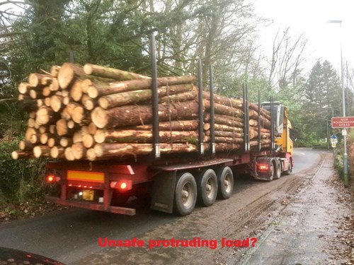 Timber Transport Resumes